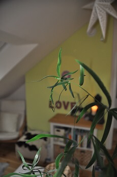 gemütlicher Praxisraum